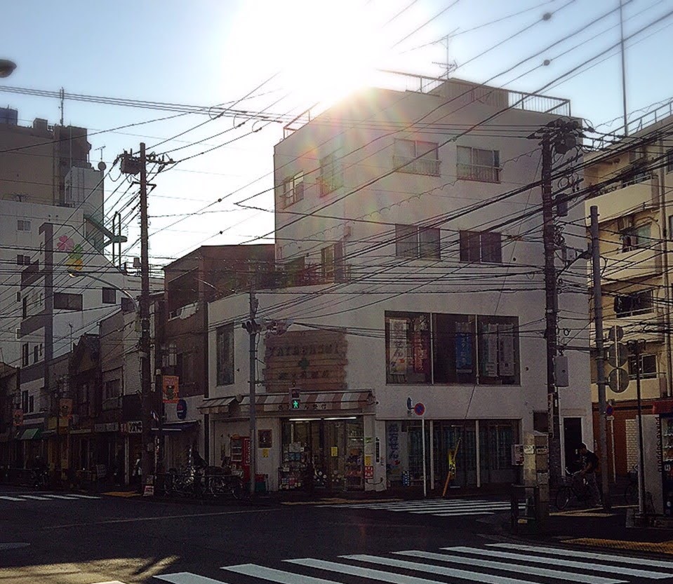 谷田橋薬局 外観